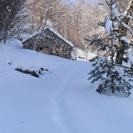 Ferienhaus Gite De Charme Au Coeur Des Volcans D'auvergne, Proche Super-lioran, Nature Et Histoire - Fr-1-742-458 *