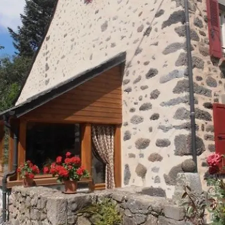 Gite De Charme Au Coeur Des Volcans D'auvergne, Proche Super-lioran, Nature Et Histoire - Fr-1-742-458 *